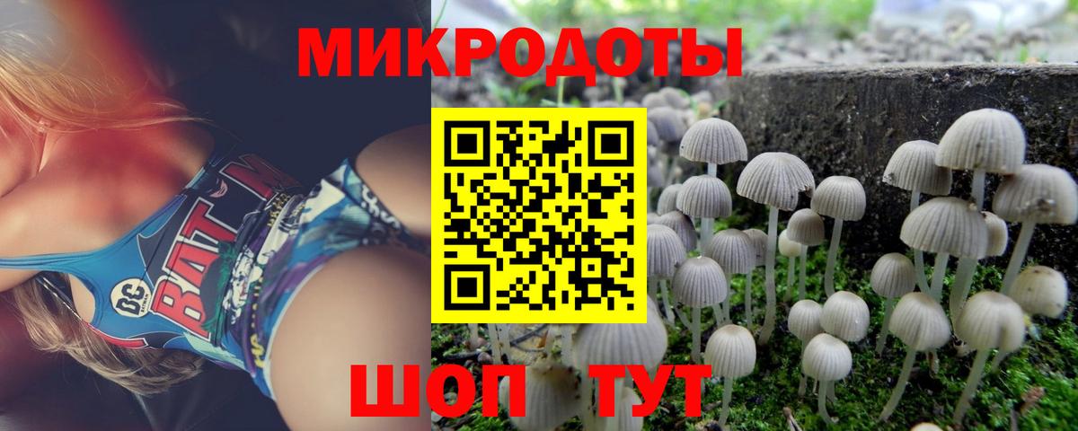 Лянтор  Псилоцибиновые грибы GOLDEN TEACHER  Вход с VPN  Галлюциногенные грибы Cubensis 
